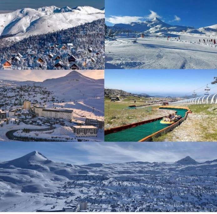 Cocon Montagnard Acces Direct Aux Pistes Et Gr10 Apartment *